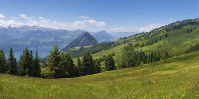 Rigi Scheidegg Kulm Vierwaldstaettersee Zugersee Sommer Blumen Wiese Art Printing - 005500 - 13-06-2009 - 23018x4002 Pixel Rigi Scheidegg Kulm Vierwaldstaettersee Zugersee Sommer Blumen Wiese Art Printing Fine Art Nature Photography Fine Art Photographers Famous Fine Art...