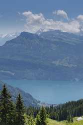 Rigi Scheidegg Bauen Vierwaldstaettersee Sommer Blumen Wiese Wolken Fine Art - 005510 - 13-06-2009 - 4126x12502 Pixel Rigi Scheidegg Bauen Vierwaldstaettersee Sommer Blumen Wiese Wolken Fine Art What Is Fine Art Photography Snow Tree Mountain Ice Fine Art Photography Prints For...