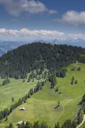 Rigi Kloesterli Mythen Sommer Blumen Wiese Wolken Panorama Autumn Fine Art Photo Image Stock Sea - 005532 - 13-06-2009 - 4292x12056 Pixel Rigi Kloesterli Mythen Sommer Blumen Wiese Wolken Panorama Autumn Fine Art Photo Image Stock Sea River Pass Grass Art Photography Gallery Barn Fine Arts Park...