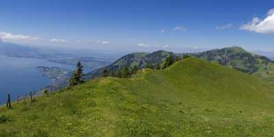 Rigi Kloesterli Weggis Buergenstock Vierwaldstaettersee Sommer Blumen Wiese Lake Animal Images - 005535 - 13-06-2009 - 16291x4209 Pixel Rigi Kloesterli Weggis Buergenstock Vierwaldstaettersee Sommer Blumen Wiese Lake Animal Images Senic Stock Image Beach Fine Art Prints Fine Art Prints For Sale...