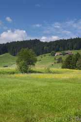 Rothenthurm Hochmoor Naturschutzgebiet Blumenwiese Landschaft Wolken Spring Pass Order Fine Art Sea - 005219 - 31-05-2009 - 4020x9145 Pixel Rothenthurm Hochmoor Naturschutzgebiet Blumenwiese Landschaft Wolken Spring Pass Order Fine Art Sea Sunshine Beach Cloud Fine Art Pictures Art Printing View...