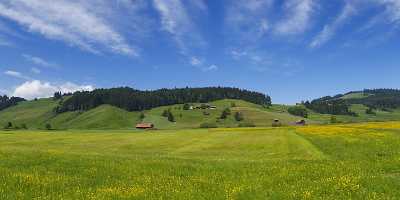 Rothenthurm Hochmoor Naturschutzgebiet Blumenwiese Landschaft Wolken Modern Art Prints - 005225 - 31-05-2009 - 10399x3993 Pixel Rothenthurm Hochmoor Naturschutzgebiet Blumenwiese Landschaft Wolken Modern Art Prints Fine Art Posters Summer City Photo Fine Art Photography For Sale Fine Art...