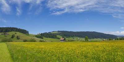 Rothenthurm Hochmoor Naturschutzgebiet Blumenwiese Landschaft Wolken Beach Coast Image Stock - 005230 - 31-05-2009 - 11556x3997 Pixel Rothenthurm Hochmoor Naturschutzgebiet Blumenwiese Landschaft Wolken Beach Coast Image Stock Fine Art America Sky Summer Outlook Fine Art Print Stock...