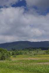 Rothenthurm Hochmoor Naturschutzgebiet Blumenwiese Landschaft Wolken Modern Art Print Rain - 005260 - 31-05-2009 - 4193x13555 Pixel Rothenthurm Hochmoor Naturschutzgebiet Blumenwiese Landschaft Wolken Modern Art Print Rain Fine Art Posters Image Stock Pass Nature City Forest Fine Art Photo...