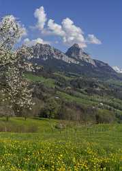 Steinerberg Schwyz Blumenwiese Bluehende Obstbaeume Grosser Kleiner Mythen Image Stock - 021050 - 09-04-2017 - 7788x10887 Pixel Steinerberg Schwyz Blumenwiese Bluehende Obstbaeume Grosser Kleiner Mythen Image Stock Art Photography Gallery Stock Photos Rain Modern Art Print Nature Fine...