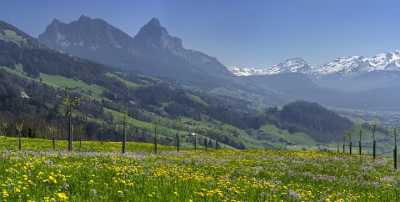 Steinerberg Schwyz Blumenwiese Bluehende Obstbaeume Grosser Kleiner Mythen Fine Art Printing Summer - 021060 - 08-04-2017 - 18277x9240 Pixel Steinerberg Schwyz Blumenwiese Bluehende Obstbaeume Grosser Kleiner Mythen Fine Art Printing Summer Nature Senic Rock What Is Fine Art Photography Fine Art...