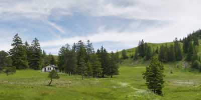 Stoos Frontal Alpen Wiese Sommer Blumen Aussicht Panorama Fine Art Landscape Photography - 005610 - 14-06-2009 - 14352x4081 Pixel Stoos Frontal Alpen Wiese Sommer Blumen Aussicht Panorama Fine Art Landscape Photography Famous Fine Art Photographers Western Art Prints For Sale Fine Art...