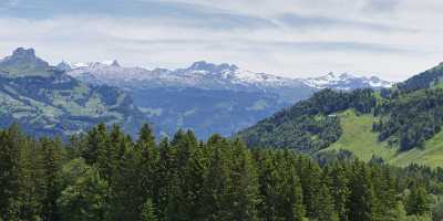 Stoos Illgau Muotathaler Alpen Wiese Sommer Blumen Aussicht Fine Art Photography Gallery Sky - 005611 - 14-06-2009 - 14355x4117 Pixel Stoos Illgau Muotathaler Alpen Wiese Sommer Blumen Aussicht Fine Art Photography Gallery Sky Modern Art Prints Fine Art Fine Art Photos Image Stock Stock Leave...