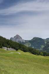 Stoos Mythen Muotathaler Alpen Wiese Sommer Blumen Aussicht Fine Art Photography Galleries - 005613 - 14-06-2009 - 3886x10339 Pixel Stoos Mythen Muotathaler Alpen Wiese Sommer Blumen Aussicht Fine Art Photography Galleries Fine Art Photography For Sale Sunshine Fine Art Prints For Sale Fine...