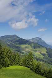 Urmiberg Rigi Sommer Wiese Blumen Wolken Panorama Hdr Fine Art Photography Sunshine Outlook - 005453 - 13-06-2009 - 4126x9414 Pixel Urmiberg Rigi Sommer Wiese Blumen Wolken Panorama Hdr Fine Art Photography Sunshine Outlook Stock Photos Mountain Spring Fine Art Landscape Photography Sea...