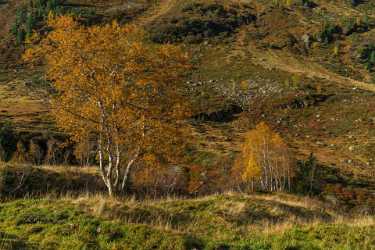 Single Shot Switzerland Panoramic Landscape Photography Scenic Lake Leave Town - 018816 - 10-10-2015 - 7952x5304 Pixel Single Shot Switzerland Panoramic Landscape Photography Scenic Lake Leave Town Fine Art Giclee Printing Spring Fine Art America Island Sea Modern Wall Art Fine...