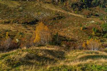 Single Shot Switzerland Panoramic Landscape Photography Scenic Lake Stock - 018817 - 10-10-2015 - 7952x5304 Pixel Single Shot Switzerland Panoramic Landscape Photography Scenic Lake Stock Western Art Prints For Sale Animal Modern Art Print Country Road Prints Fine Art Photo...