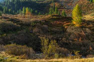 Single Shot Switzerland Panoramic Landscape Photography Scenic Lake Beach Fine Art Landscape - 018819 - 10-10-2015 - 7952x5304 Pixel Single Shot Switzerland Panoramic Landscape Photography Scenic Lake Beach Fine Art Landscape Fine Art Giclee Printing Fine Art Photographer Fine Art Printer...