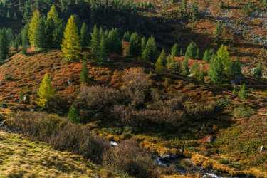 Single Shot Switzerland Panoramic Landscape Photography Scenic Lake Sunshine Fine Art Landscape - 018820 - 10-10-2015 - 7952x5304 Pixel Single Shot Switzerland Panoramic Landscape Photography Scenic Lake Sunshine Fine Art Landscape Art Photography For Sale Tree Fine Art Landscape Photography...