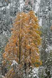 Single Shot Switzerland Panoramic Landscape Photography Scenic Lake Fine Art Ice Beach - 018986 - 17-10-2015 - 5304x7952 Pixel Single Shot Switzerland Panoramic Landscape Photography Scenic Lake Fine Art Ice Beach Fine Art Photography For Sale Fine Art Landscapes Prints For Sale Color...