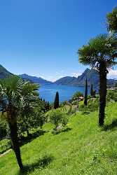 Gandria Monte Bre Melide Lago Di Lugano Photo Fine Art Landscape Photography - 003258 - 13-06-2008 - 4283x6691 Pixel Gandria Monte Bre Melide Lago Di Lugano Photo Fine Art Landscape Photography Fine Art Photography Galleries City Modern Art Prints View Point Stock Images Fine...