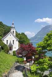 Bauen Dorf Kirche Vierwaldstaettersee Fine Art Fotografie Nature Spring - 002637 - 23-05-2008 - 4313x6429 Pixel Bauen Dorf Kirche Vierwaldstaettersee Fine Art Fotografie Nature Spring Fine Art Photography Galleries Fine Art Landscape Photography Fine Art Foto Fine Art...