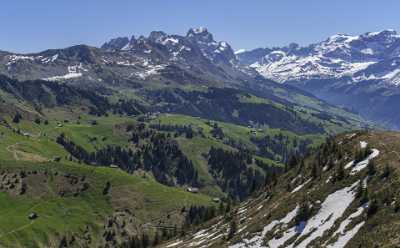 Eggberge Uri Blumenwiese Bergpanorama Aussicht Schneeberge Fruehling Baeume Outlook - 021089 - 26-05-2017 - 12916x8004 Pixel Eggberge Uri Blumenwiese Bergpanorama Aussicht Schneeberge Fruehling Baeume Outlook Art Photography For Sale Modern Art Prints Image Stock Pass Town Sunshine...