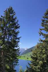 Golzernsee Golzern Bristen Maderanertal Bergsee Alpen Schilf Sommer Art Photography Gallery - 007078 - 22-08-2010 - 4143x8203 Pixel Golzernsee Golzern Bristen Maderanertal Bergsee Alpen Schilf Sommer Art Photography Gallery Art Prints Fine Art Photography Prints For Sale Creek Fine Art...