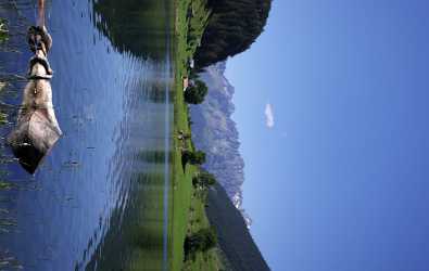 Golzernsee Golzern Bristen Maderanertal Bergsee Alpen Schilf Sommer Island Park - 007084 - 22-08-2010 - 6510x4122 Pixel Golzernsee Golzern Bristen Maderanertal Bergsee Alpen Schilf Sommer Island Park Fine Art Photography Gallery Fine Art Pictures Town Stock Images Art Photography...