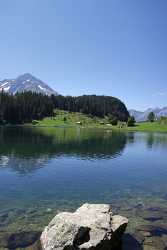 Golzernsee Golzern Bristen Maderanertal Bergsee Alpen Schilf Sommer Art Photography For Sale Fog - 007085 - 22-08-2010 - 4390x7913 Pixel Golzernsee Golzern Bristen Maderanertal Bergsee Alpen Schilf Sommer Art Photography For Sale Fog Royalty Free Stock Images Fine Art Photography Galleries...