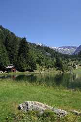 Golzernsee Golzern Bristen Maderanertal Bergsee Alpen Schilf Sommer Stock Sale Fine Art Foto - 007087 - 22-08-2010 - 4289x7081 Pixel Golzernsee Golzern Bristen Maderanertal Bergsee Alpen Schilf Sommer Stock Sale Fine Art Foto Image Stock Fine Art Pictures Fine Art Photography For Sale Fine...