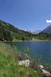 Golzernsee Golzern Bristen Maderanertal Bergsee Alpen Schilf Sommer Fine Art Landscape Ice - 007091 - 22-08-2010 - 4307x6913 Pixel Golzernsee Golzern Bristen Maderanertal Bergsee Alpen Schilf Sommer Fine Art Landscape Ice Fine Art Landscapes Animal Cloud Fine Art Photography Prints For Sale...