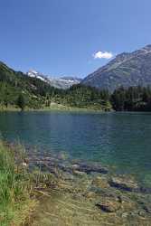 Golzernsee Golzern Bristen Maderanertal Bergsee Alpen Schilf Sommer Fine Art Photos - 007096 - 22-08-2010 - 4187x7274 Pixel Golzernsee Golzern Bristen Maderanertal Bergsee Alpen Schilf Sommer Fine Art Photos Western Art Prints For Sale Snow Photography Summer Park Shore Color Fine...