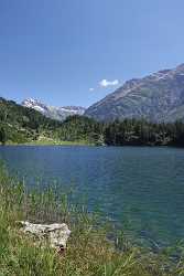 Golzernsee Golzern Bristen Maderanertal Bergsee Alpen Schilf Sommer Fine Art America Fog Sunshine - 007097 - 22-08-2010 - 4272x6853 Pixel Golzernsee Golzern Bristen Maderanertal Bergsee Alpen Schilf Sommer Fine Art America Fog Sunshine Fine Art Landscape Art Printing Fine Art Prints For Sale...