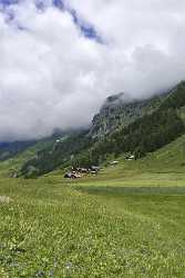 Golzern See Golzerensee Uri Panorama Alpen Sommer Blumen Art Prints Stock Photos Ice - 011233 - 09-07-2012 - 6796x11653 Pixel Golzern See Golzerensee Uri Panorama Alpen Sommer Blumen Art Prints Stock Photos Ice What Is Fine Art Photography Modern Art Print Lake Panoramic Images Summer...