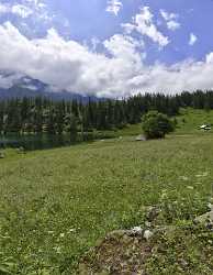 Golzern See Golzerensee Uri Panorama Alpen Sommer Blumen Prints For Sale - 011240 - 09-07-2012 - 6946x8934 Pixel Golzern See Golzerensee Uri Panorama Alpen Sommer Blumen Prints For Sale Fine Art Landscape Photography Photo Fine Art Shore Sunshine Town Images Island Royalty...