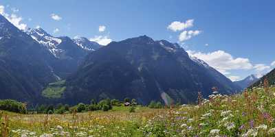 Intschi Arnisee Sommer Wiese Alpen Blumen Weide Wald Ice Cloud Western Art Prints For Sale - 005322 - 01-06-2009 - 12145x4188 Pixel Intschi Arnisee Sommer Wiese Alpen Blumen Weide Wald Ice Cloud Western Art Prints For Sale Image Stock Animal Sea Rock Fine Art Photography For Sale Fine Art...