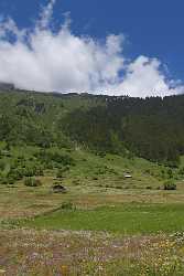 Tnellen Arnisee Sommer Wiese Alpen Blumen Weide Wald Landscape Photography Panoramic Autumn - 005348 - 06-2009-gu - 4235x12278 Pixel Tnellen Arnisee Sommer Wiese Alpen Blumen Weide Wald Landscape Photography Panoramic Autumn Art Printing Fog Sale Shoreline Modern Art Prints Fine Art America...