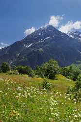 Tnellen Arnisee Bristenstock Sommer Wiese Alpen Blumen Weide River Sunshine Rock Forest Fine Arts - 005359 - 06-2009-gu - 5873x11183 Pixel Tnellen Arnisee Bristenstock Sommer Wiese Alpen Blumen Weide River Sunshine Rock Forest Fine Arts Island Rain Landscape Photography Coast Western Art Prints For...