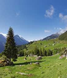 Intschi Arnisee Sommer Wiese Weide Wald Tanne Panorama Fine Art Landscape - 005288 - 01-06-2009 - 6953x7998 Pixel Intschi Arnisee Sommer Wiese Weide Wald Tanne Panorama Fine Art Landscape Western Art Prints For Sale Stock Park Photo Fine Art Landscape Photography Art...