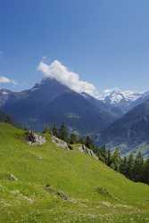 Intschi Arnisee Gross Ruchen Sommer Wiese Alpen Blumen Stock Pictures Rock - 005307 - 01-06-2009 - 4320x9810 Pixel Intschi Arnisee Gross Ruchen Sommer Wiese Alpen Blumen Stock Pictures Rock Fine Art Nature Photography Hi Resolution Art Photography For Sale Fine Arts Fine Art...