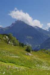 Intschi Arnisee Gross Ruchen Sommer Wiese Alpen Blumen Outlook Fine Art Photography Gallery Shore - 005314 - 01-06-2009 - 3835x10329 Pixel Intschi Arnisee Gross Ruchen Sommer Wiese Alpen Blumen Outlook Fine Art Photography Gallery Shore Prints For Sale Pass Summer Tree Prints Grass Color Fog Fine...