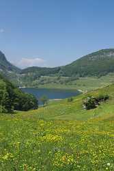 Seelisberg Blumen Wiese See Fine Art Landscape Fine Art Photographer Creek View Point Image Stock - 002617 - 23-05-2008 - 4264x7873 Pixel Seelisberg Blumen Wiese See Fine Art Landscape Fine Art Photographer Creek View Point Image Stock Photography Prints For Sale River Rock What Is Fine Art...