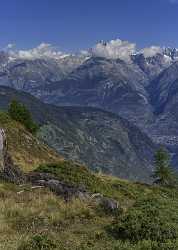 Graechen Alpe Hannig Wallis Flower Snow Alps Summer Autumn Stock Pictures Pass Fine Art Prints - 021159 - 14-08-2017 - 7726x10840 Pixel Graechen Alpe Hannig Wallis Flower Snow Alps Summer Autumn Stock Pictures Pass Fine Art Prints Image Stock Images Modern Art Prints Hi Resolution Fine Art...