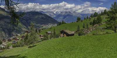 Graechen Wallis Flower Snow Alps Summer Panoramic Viepoint Royalty Free Stock Photos Sky - 021151 - 14-08-2017 - 20806x7546 Pixel Graechen Wallis Flower Snow Alps Summer Panoramic Viepoint Royalty Free Stock Photos Sky Image Stock Art Photography For Sale Prints For Sale Photography Prints...