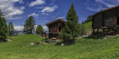 Graechen Wallis Flower Snow Alps Summer Panoramic Viepoint Fine Art Nature Photography - 021152 - 14-08-2017 - 17327x7200 Pixel Graechen Wallis Flower Snow Alps Summer Panoramic Viepoint Fine Art Nature Photography Fine Arts Photography Fine Art Photography Prints Royalty Free Stock...