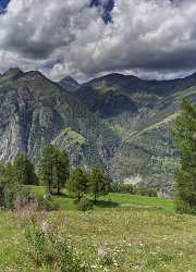 Graechen Wallis Flower Snow Alps Summer Panoramic Viepoint Art Prints For Sale Fine Arts Senic - 021154 - 14-08-2017 - 7340x10217 Pixel Graechen Wallis Flower Snow Alps Summer Panoramic Viepoint Art Prints For Sale Fine Arts Senic Stock Image Lake Stock Pictures Fine Art Printer Fine Art Print...