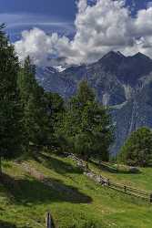 Graechen Wallis Flower Snow Alps Summer Panoramic Viepoint Stock Photos Fine Art Photo Fine Art - 021155 - 14-08-2017 - 7354x12729 Pixel Graechen Wallis Flower Snow Alps Summer Panoramic Viepoint Stock Photos Fine Art Photo Fine Art Fine Art Nature Photography Rain Fine Art Photography Galleries...