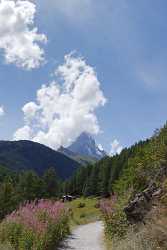 Zermatt Blatten Matterhorn Sommer Wiese Berg Alpen Panorama Prints For Sale Stock - 004285 - 09-08-2009 - 3977x7502 Pixel Zermatt Blatten Matterhorn Sommer Wiese Berg Alpen Panorama Prints For Sale Stock Art Prints For Sale Art Photography For Sale Fine Art Print City Senic Ice...