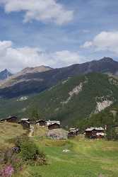 Zermatt Blatten Walliser Haeuser Sommer Blumen Berg Alpen Photography Animal Town Art Prints Photo - 004644 - 14-08-2009 - 4255x7476 Pixel Zermatt Blatten Walliser Haeuser Sommer Blumen Berg Alpen Photography Animal Town Art Prints Photo Fine Art Photography Prints Fine Art Printer Fine Art Foto...