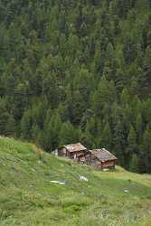 Zermatt Findeln Alphuette Wanderweg Wald Blumen Panorama Hdr Creek Stock Images Rock - 004301 - 10-08-2009 - 4187x8021 Pixel Zermatt Findeln Alphuette Wanderweg Wald Blumen Panorama Hdr Creek Stock Images Rock Fine Art Posters Autumn Royalty Free Stock Images Fine Art Landscape...