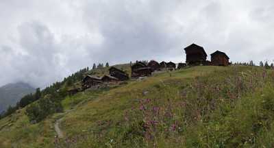 Zermatt Findeln Bergdorf Wolken Wanderweg Wald Blumen Panorama Creek Fine Art Photography For Sale - 004305 - 10-08-2009 - 7947x4291 Pixel Zermatt Findeln Bergdorf Wolken Wanderweg Wald Blumen Panorama Creek Fine Art Photography For Sale Lake Beach Art Printing Images Fine Art Printing Fine Art...