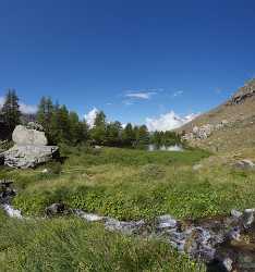 Zermatt Grindjisee Matterhorn Sumpf Bergbach Wiese Wald Fine Art Photographer Autumn Rain - 004390 - 11-08-2009 - 6587x7024 Pixel Zermatt Grindjisee Matterhorn Sumpf Bergbach Wiese Wald Fine Art Photographer Autumn Rain Art Photography For Sale Cloud Images Creek View Point Order Summer...