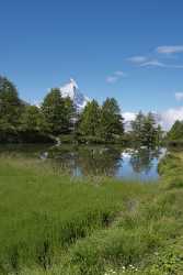 Zermatt Grindjisee Matterhorn Sumpf Bergbach Wiese Wald Landscape Photography City - 004398 - 11-08-2009 - 3928x8855 Pixel Zermatt Grindjisee Matterhorn Sumpf Bergbach Wiese Wald Landscape Photography City Fine Art Photography Prints For Sale Modern Art Print Fine Art Printer Fine...