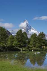 Zermatt Grindjisee Matterhorn Sumpf Bergbach Wiese Wald Stock Pictures Stock Photos Summer Snow - 004404 - 11-08-2009 - 4113x9900 Pixel Zermatt Grindjisee Matterhorn Sumpf Bergbach Wiese Wald Stock Pictures Stock Photos Summer Snow Fine Art Photographers Town Forest Art Photography Gallery River...